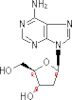 1,N6-etheno-2'-deoxyadenosine