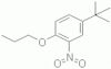 4-tert-Butyl-2-nitrophenyl propyl ether