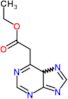ethyl 5H-purin-6-ylacetate