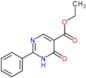 ethyl 6-oxo-2-phenyl-1,6-dihydropyrimidine-5-carboxylate