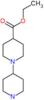 ethyl 1,4'-bipiperidine-4-carboxylate