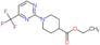 ethyl 1-[4-(trifluoromethyl)pyrimidin-2-yl]piperidine-4-carboxylate