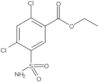 Ethyl 5-(aminosulfonyl)-2,4-dichlorobenzoate