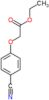 ethyl (4-cyanophenoxy)acetate