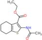 ethyl 2-(acetylamino)-4,5,6,7-tetrahydro-1-benzothiophene-3-carboxylate