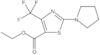 Ethyl 2-(1-pyrrolidinyl)-4-(trifluoromethyl)-5-thiazolecarboxylate