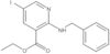 Ethyl 5-iodo-2-[(phenylmethyl)amino]-3-pyridinecarboxylate