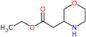 ethyl morpholin-3-ylacetate