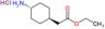 Ethyl (trans-4-aminocyclohexyl)acetate hydrochloride (1:1)