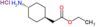 (trans-4-Aminocyclohexyl)acetic acid ethyl ester hydrochloride