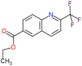 Ethyl 2-(trifluoromethyl)-6-quinolinecarboxylate