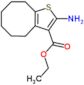 ethyl 2-amino-4,5,6,7,8,9-hexahydrocycloocta[b]thiophene-3-carboxylate