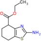 ethyl 2-amino-4,5,6,7-tetrahydro-1,3-benzothiazole-4-carboxylate