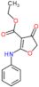 ethyl 4-oxo-2-(phenylamino)-4,5-dihydrofuran-3-carboxylate
