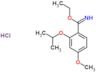 ethyl 4-methoxy-2-(propan-2-yloxy)benzenecarboximidoate hydrochloride (1:1)