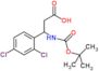 3-[(tert-butoxycarbonyl)amino]-3-(2,4-dichlorophenyl)propanoic acid