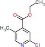 ethyl 2-chloro-5-methylpyridine-4-carboxylate