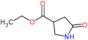 ethyl 5-oxopyrrolidine-3-carboxylate