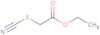 2-(acetyloxy)tricyclo[3.3.1.1~3,7~]decane-2-carboxylic acid