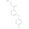 Benzoic acid, 3-[(6-chloro-3-pyridazinyl)oxy]-, ethyl ester