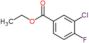 Etil 3-cloro-4-fluorobenzoato