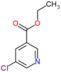 ethyl 5-chloropyridine-3-carboxylate