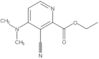 Ethyl 3-cyano-4-(dimethylamino)-2-pyridinecarboxylate