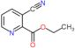 ethyl 3-cyanopyridine-2-carboxylate