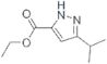 5-Isopropyl-1H-pyrazole-3-carboxylic acid ethyl ester