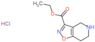 Ethyl 4,5,6,7-tetrahydro[1,2]oxazolo[4,5-c]pyridine-3-carboxylate hydrochloride (1:1)