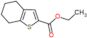 Ethyl 4,5,6,7-tetrahydrobenzo[b]thiophene-2-carboxylate