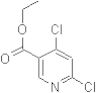 4,6-Dichloro-3-pyridinecarboxylic acid ethyl ester