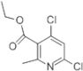 Ethyl 4,6-Dichloro-2-methylnicotinate