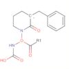 Carbamic acid, [(3R)-2-oxo-3-piperidinyl]-, phenylmethyl ester