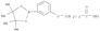 Butanoic acid,4-[3-(4,4,5,5-tetramethyl-1,3,2-dioxaborolan-2-yl)phenoxy]-, ethyl ester