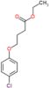 ethyl 4-(4-chlorophenoxy)butanoate