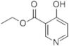 4-Hydroxy-3-pyridinecarboxylic acid ethyl ester