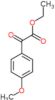 ethyl (4-methoxyphenyl)(oxo)acetate