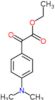 ethyl [4-(dimethylamino)phenyl](oxo)acetate