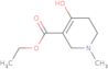 (3E)-3-[ethoxy(hydroxy)methylidene]-1-methylpiperidin-4-one