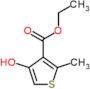 ethyl 4-hydroxy-2-methylthiophene-3-carboxylate