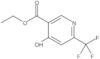 Ethyl 4-hydroxy-6-(trifluoromethyl)-3-pyridinecarboxylate