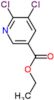 3-Pyridinecarboxylic acid, 5,6-dichloro-, ethyl ester