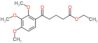 ethyl 5-oxo-5-(2,3,4-trimethoxyphenyl)pentanoate