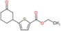 ethyl 5-(3-oxocyclohexyl)thiophene-2-carboxylate