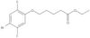 Ethyl 5-(4-bromo-2,5-difluorophenoxy)pentanoate