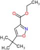 ethyl 5-tert-butylisoxazole-3-carboxylate