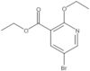 Ethyl 5-bromo-2-ethoxy-3-pyridinecarboxylate