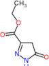 ethyl 5-oxo-4,5-dihydro-1H-pyrazole-3-carboxylate