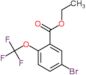 benzoic acid, 5-bromo-2-(trifluoromethoxy)-, ethyl ester